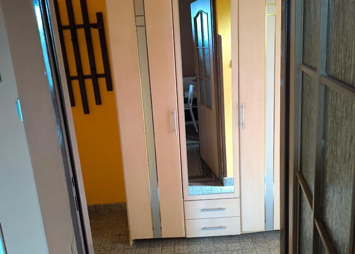 Angelika 布拉迪斯拉发